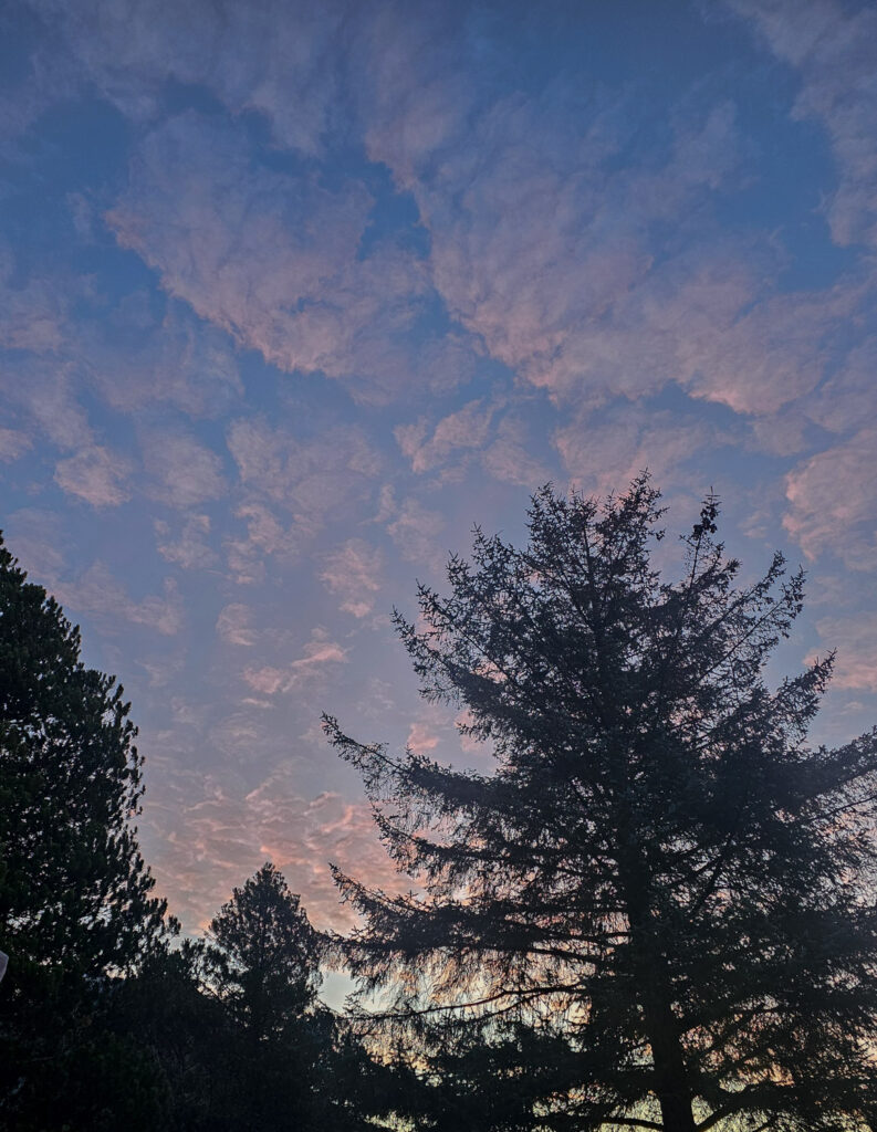 Pink CLouds and Blue Sky