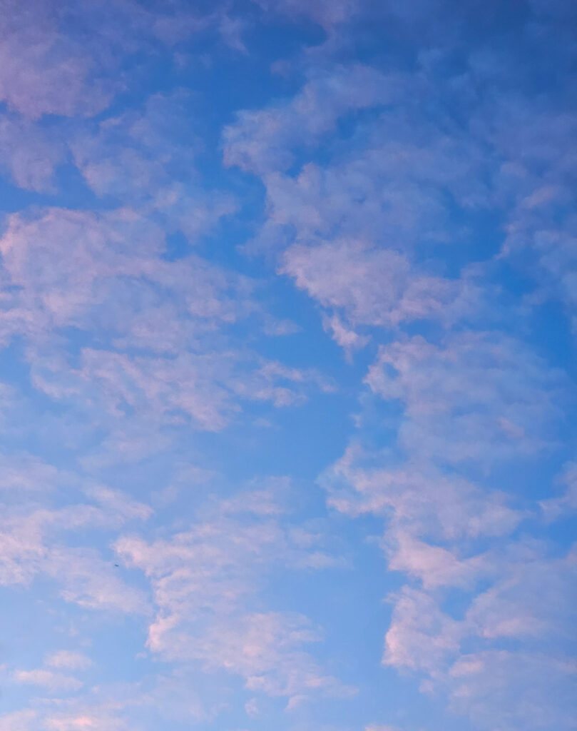 Pink CLouds and Blue Sky