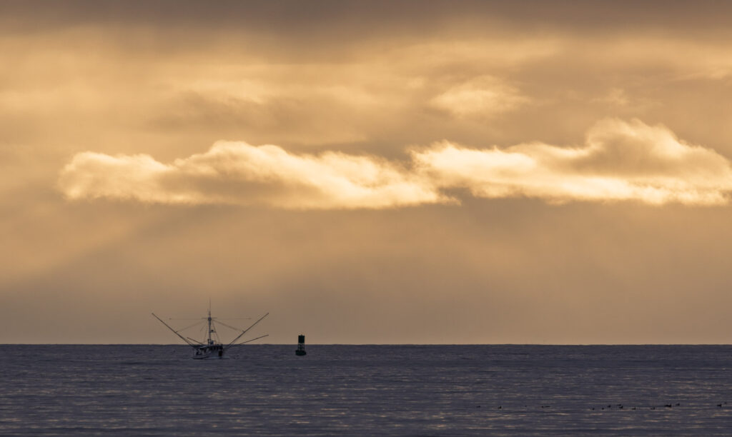 Warm Light over Sitka Sound