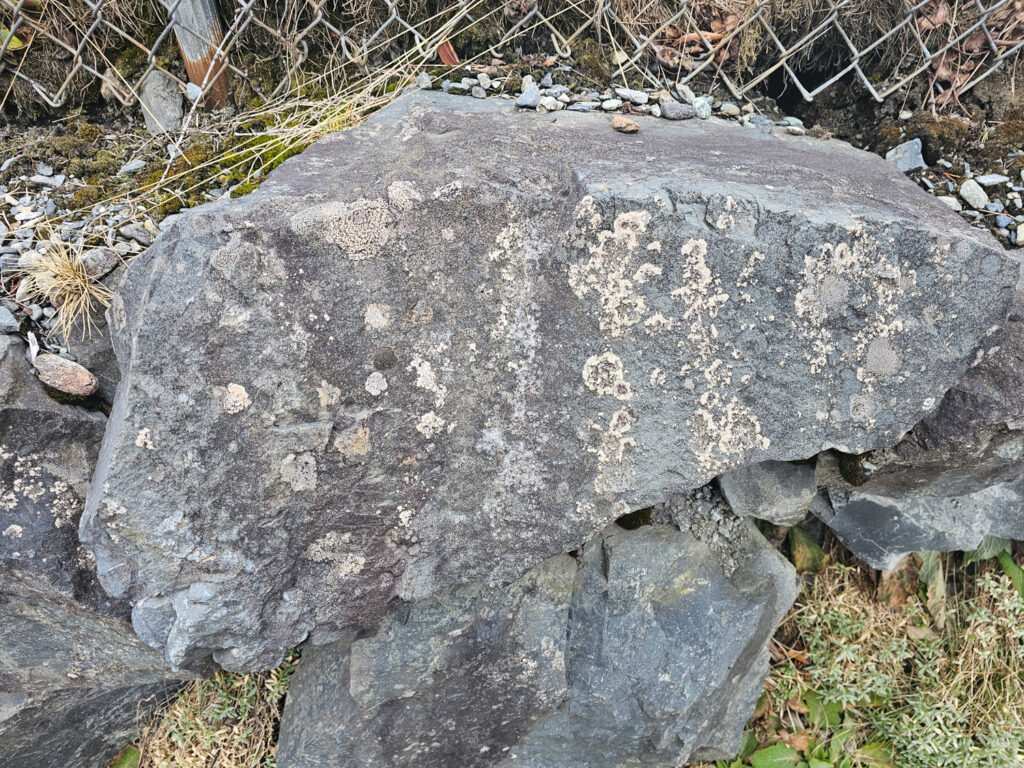 Landscaping Rock with Lichens