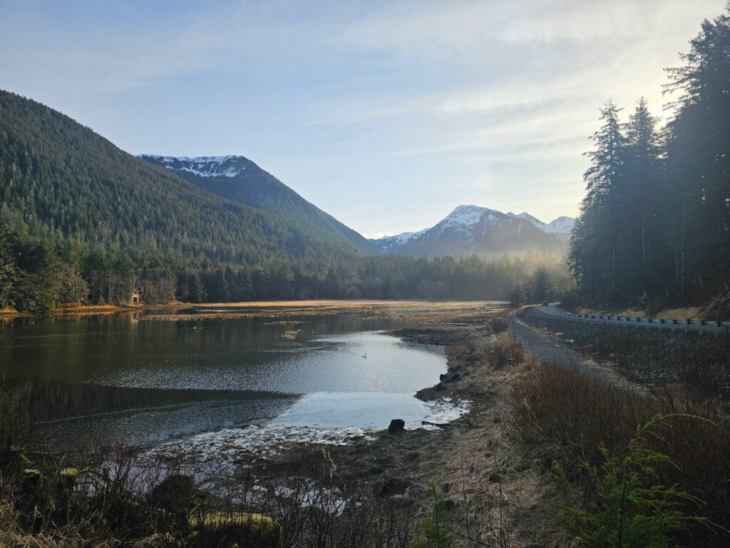 Starrigavan Estuary