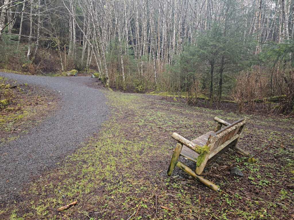 Cross Trail Bench