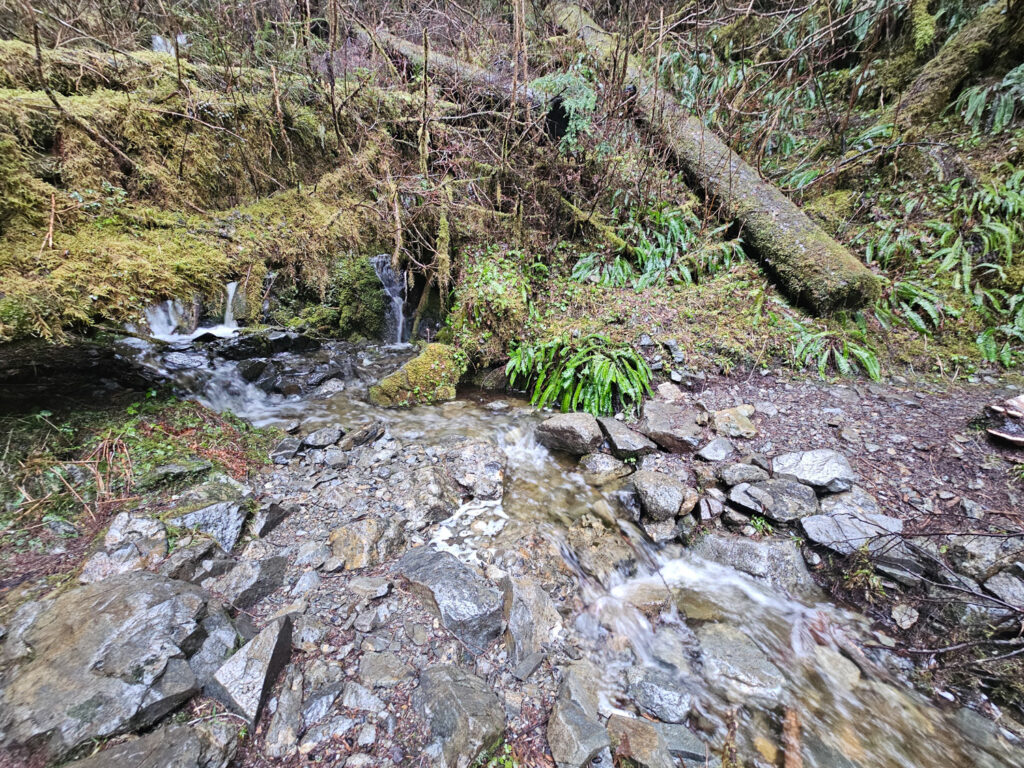 Streamlet along Verstovia Trail