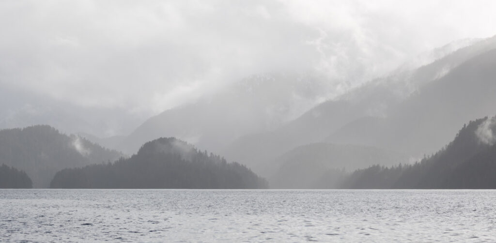 Forested Hills and Clouds