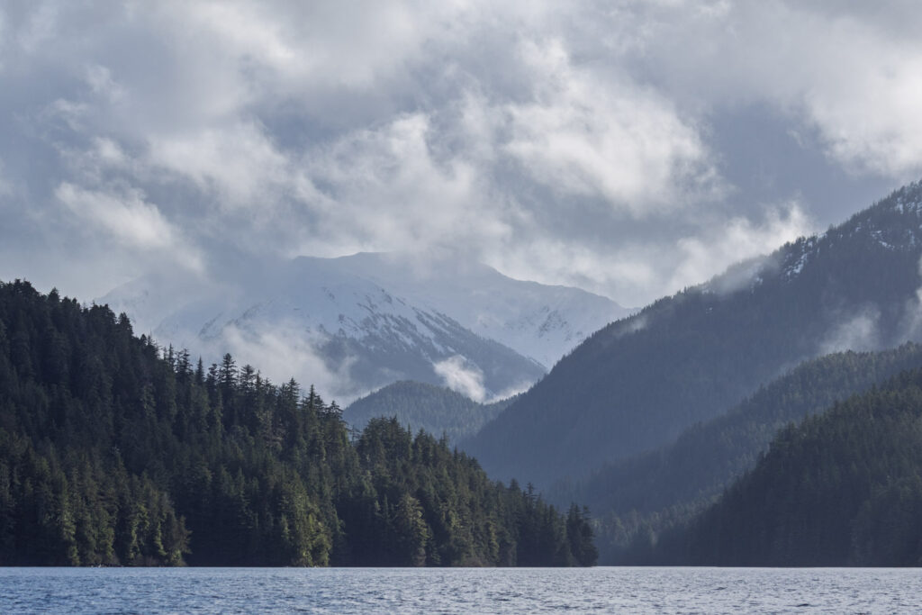 Forest Hills, Snow-covered Mountains and Clouds