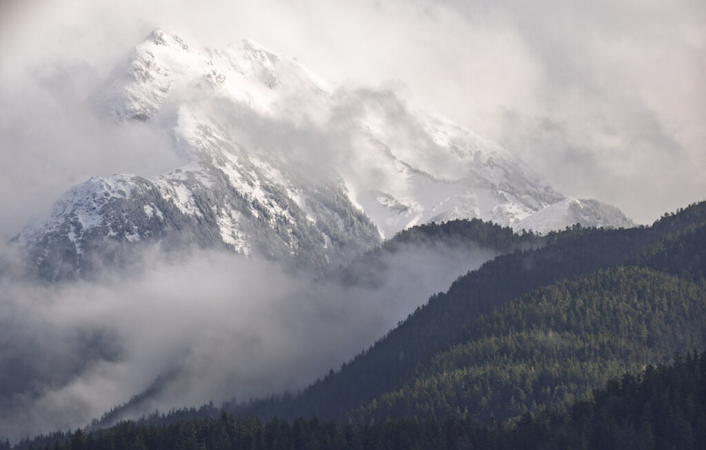 Forest Hills, Snow-covered Mountains and Clouds