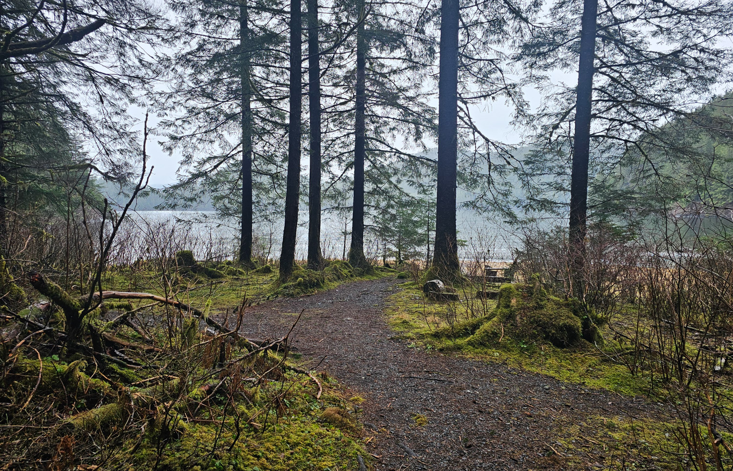 Arriving at Mosquito Cove