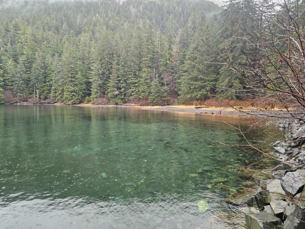 Mosquito Cove