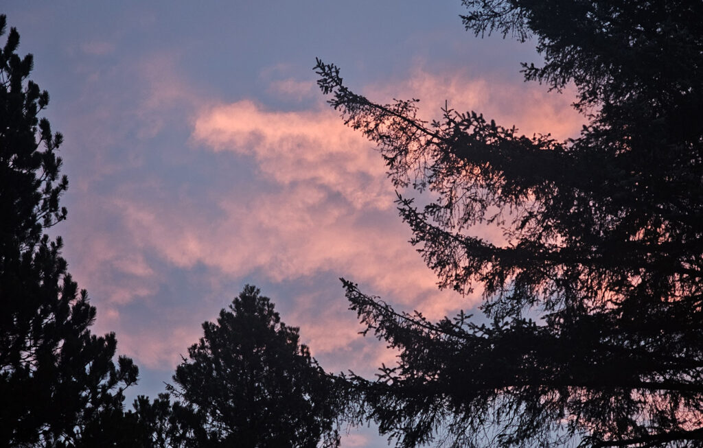 Pink Clouds