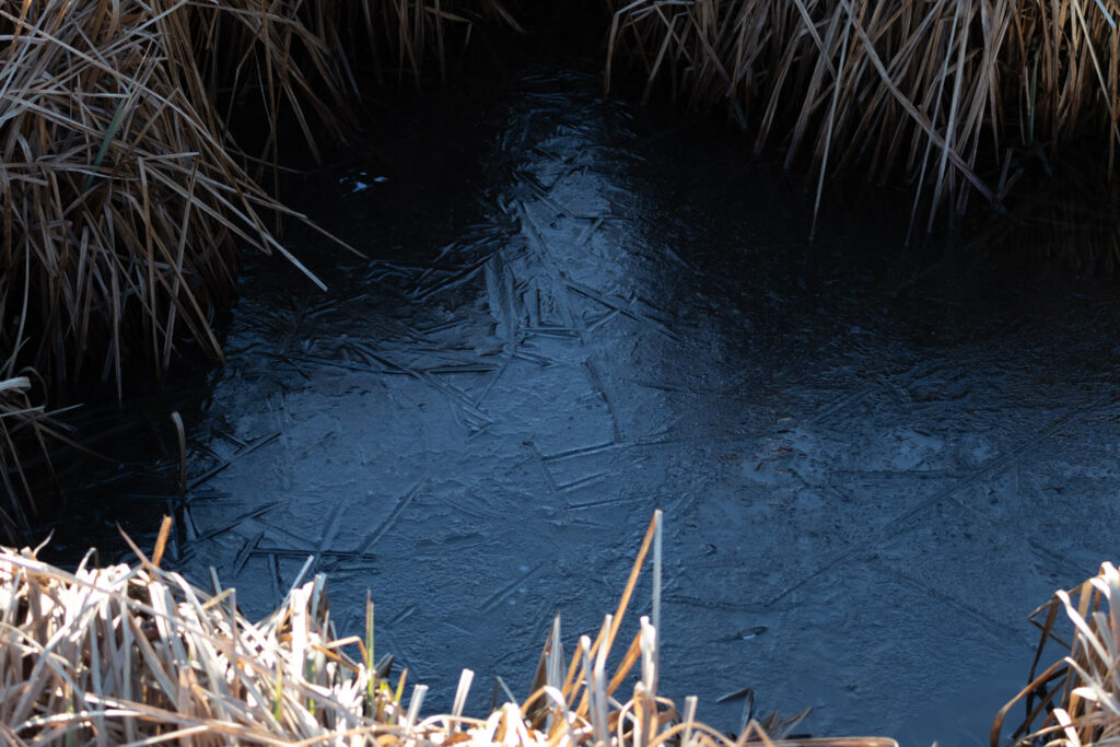 Icy Afternoon