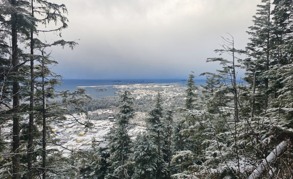 View from Verstovia Trail