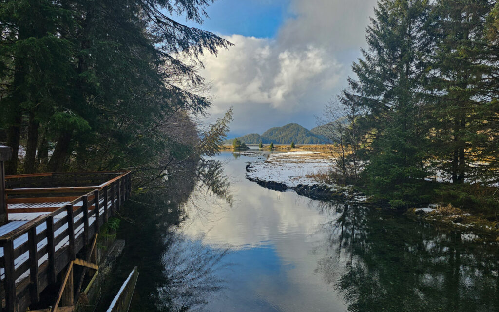 Starrigavan Estuary