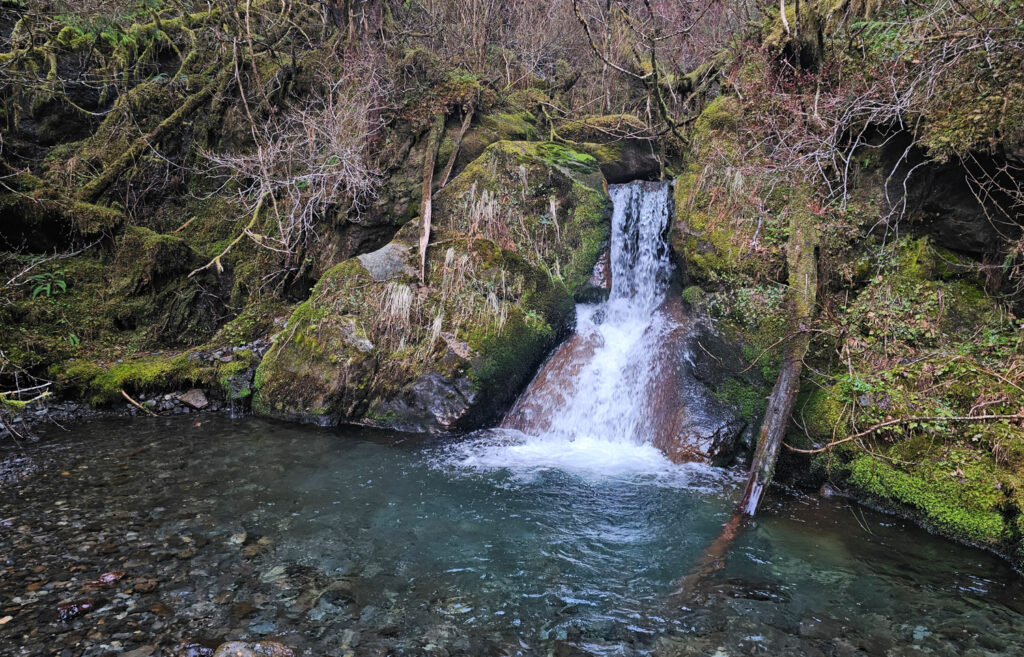 Herring Cove Cascade